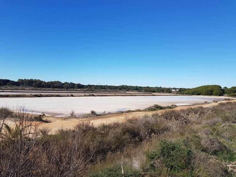 Villa Ria Formosa Pineview Distretto di Distretto di Faro Esterno foto