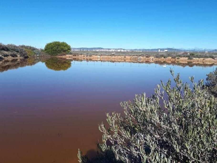 Villa Ria Formosa Pineview Distretto di Distretto di Faro Esterno foto